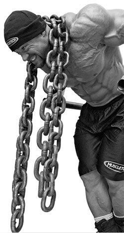 muscletech cell-tech performance series