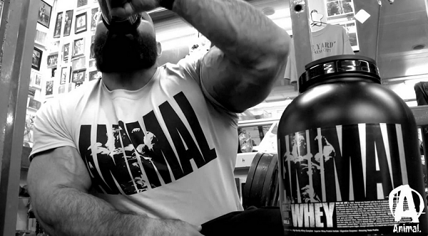 animal whey sieroproteine filtrate cross flow