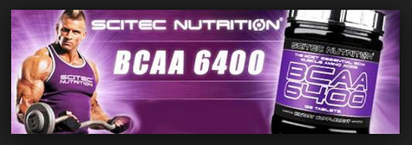 bcaa 6400 2 1 1 come incentivo alla sintesi di nuove proteine muscolari