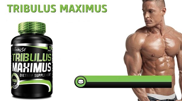 biotech tribulus maximus stimolante naturale del testosterone con 1500mg di estratto secco a compressa e 90% di saponine