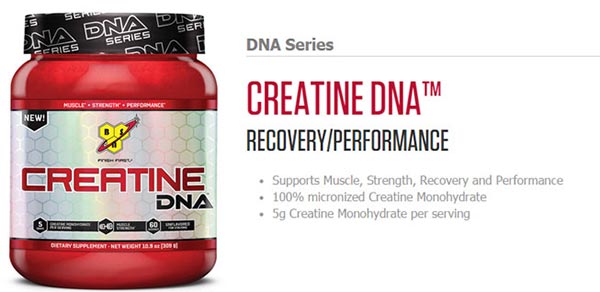 Creatine DNA Bsn Series Banner