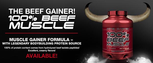 100 beef muscle della scitec nutrition integratore mass gainer utile per migliorare il nutrimento muscolare e promuovere la formazione di nuova massa magra