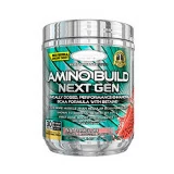 Amino Build Next Gen 279g muscletech