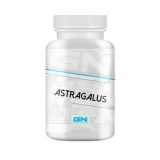 Astragalus 90cps genetic nutrition