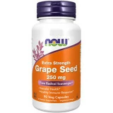 grape seed extract 250mg 90cps now foods