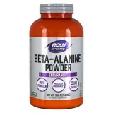 beta alanine powder 500gr now foods