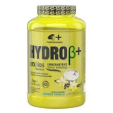 Hydro ß+ Probios 2 Kg 4+ nutrition