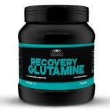 Recovery Glutamine 300g galaxy nutrition