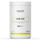 HMB 750 300cps ostrovit