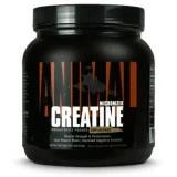 Animal Creatine Powder 500g