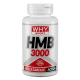 Hmb 3000 90 cp Why Sport