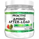 amino after load 500g proactive