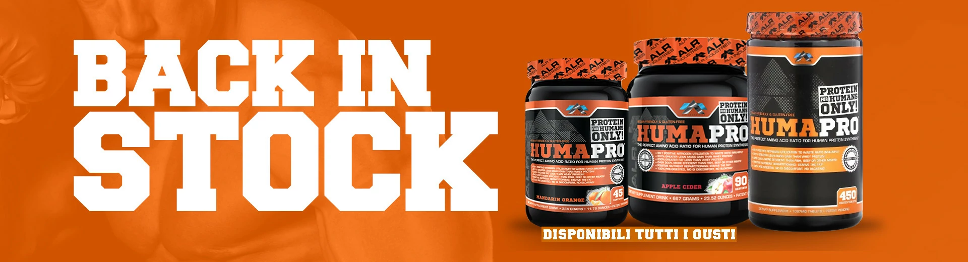 Back in Stock