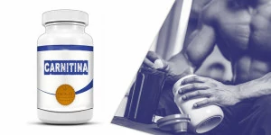 integratori carnitina integratori carnitina