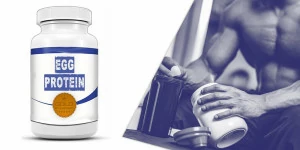 egg protein egg protein