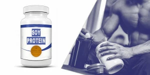 soy protein soy protein