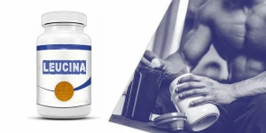 leucina leucina