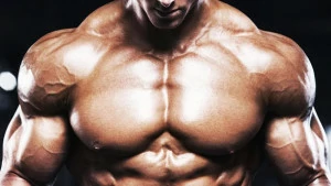 massa_muscolare massa_muscolare