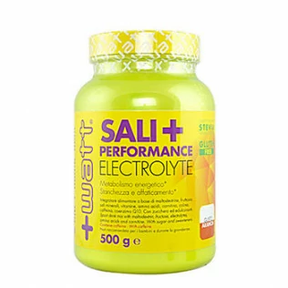 +watt sali+ performance Electrolyte 500g