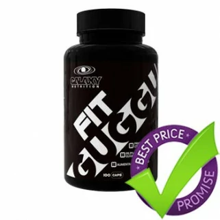 FIT Guggul 100cps galaxy nutrition