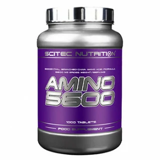 amino 5600 1000cps scitec nutrition