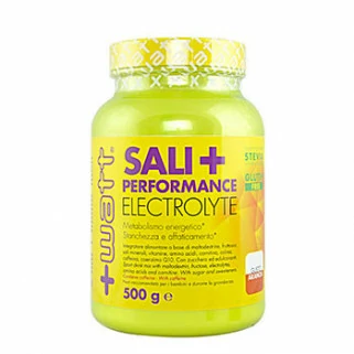 +watt sali+ performance Electrolyte 500g