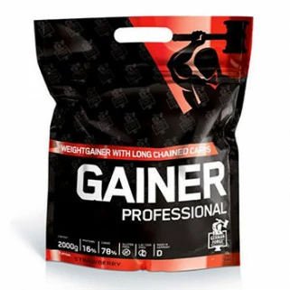 professional gainer 2kg german forge