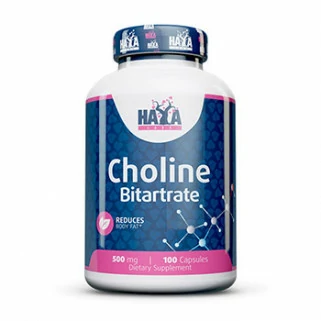 Choline bitartrate 500 mg 100 caps haya labs