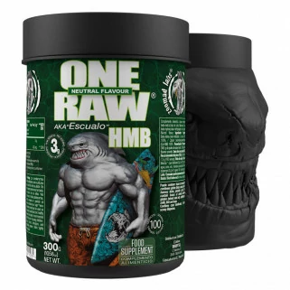 One Raw HMB 300 gr Zoomad Labs