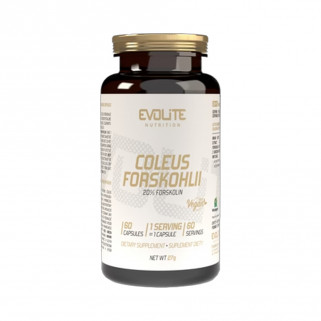 Coleus Forskohlii 60cps evolite