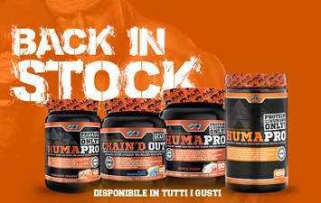Back in Stock