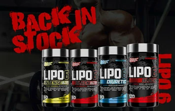 Back in Stock