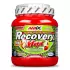 Recovery Max 575 gr Amix